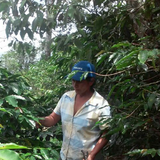 Honduras Finca Mi Esperanza Microlot Organic