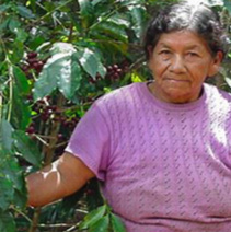 Peru La Florida Organic