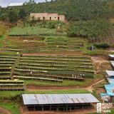 Rwanda Nyamasheke Cyesha Natural