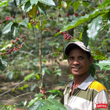 Timor-Leste Ermera Ducurai Lacau Organic