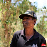 Timor-Leste Ermera Lebudu Kraik Organic