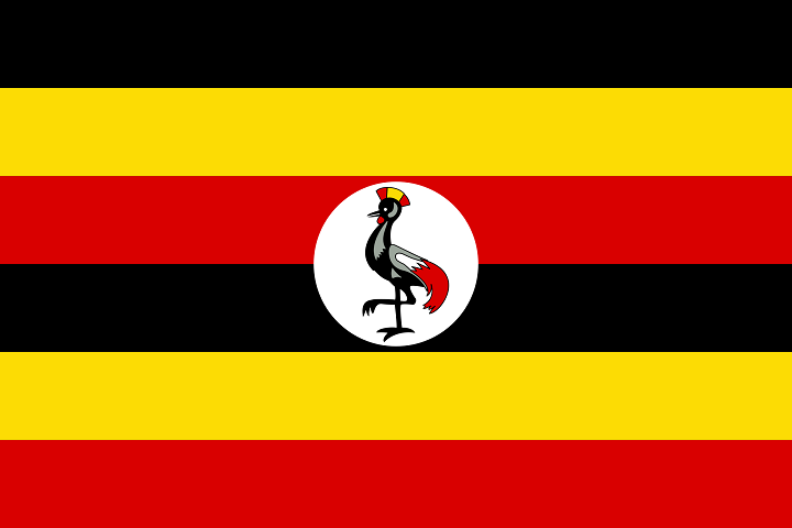 Uganda Bukonzo Organic