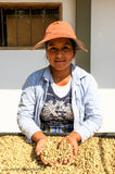 Bolivia Caranavi Peaberry Organic