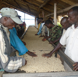 Burundi Kanovera A Fair Trade