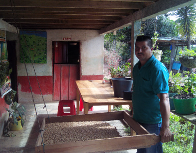 Colombia Huila Atprocafes Organic