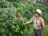 El Salvador Finca Hungria Organic
