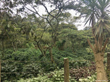Guatemala Huehuetenango Rio Azul