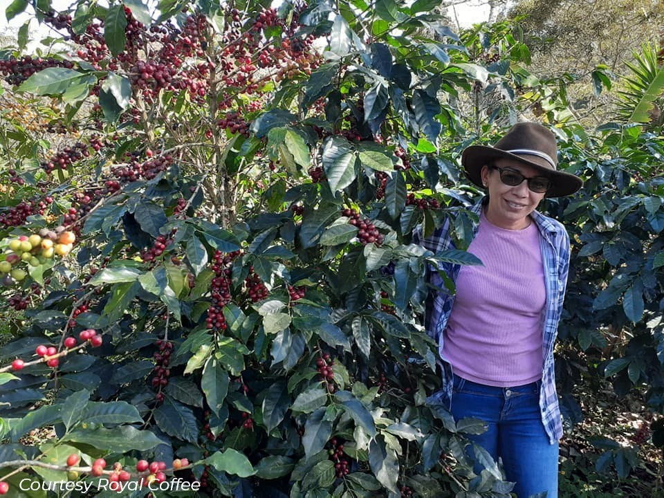 Honduras Manos de Mujer Natural Process Organic