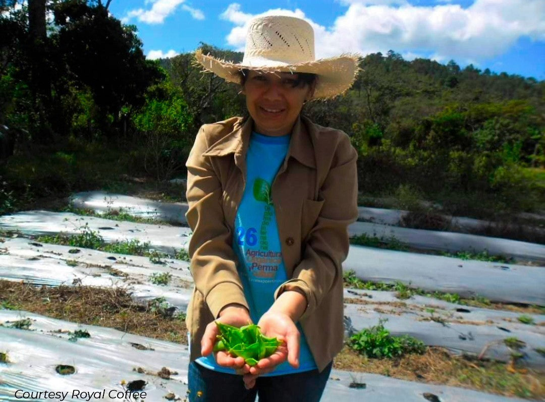Honduras Manos de Mujer Fully Washed Organic
