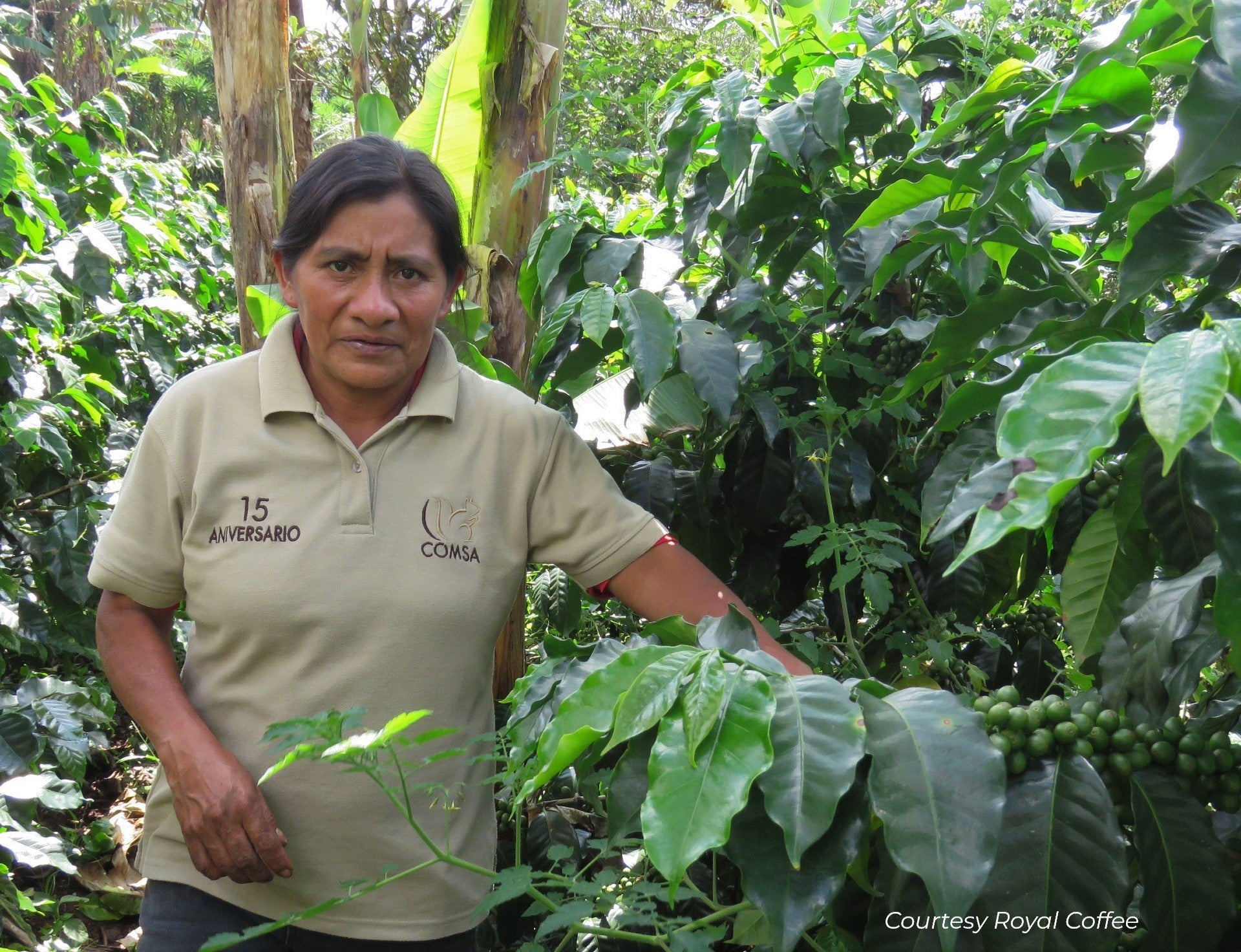 Honduras Manos de Mujer Honey Process Organic