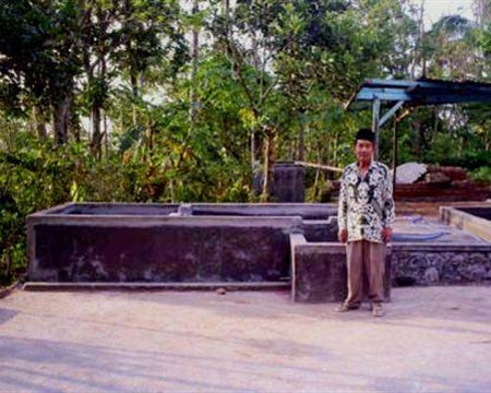 Java Kayumas Taman Dadar Organic