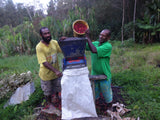 Papua New Guinea Roots No.1 AX Organic